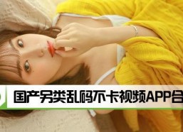 国产另类视频在线观看视频