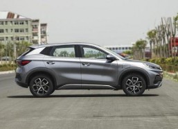 国产五月,绽放的青春与梦想